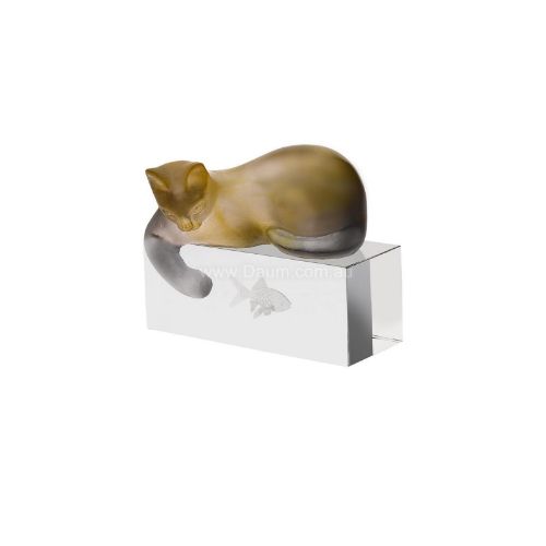 Picture of Amber & Grey Cat