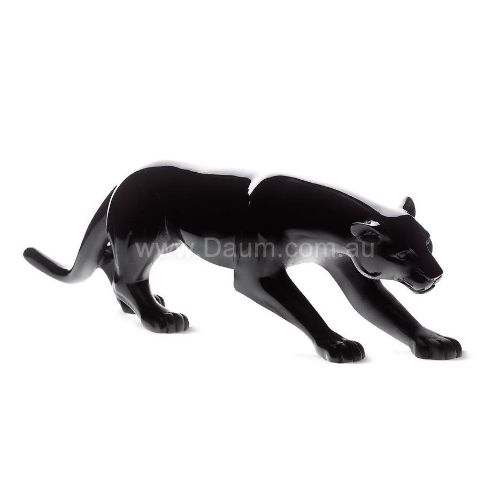 Picture of Black Panther 1000 ex