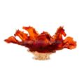 Picture of Cavalcade Centerpiece in Amber 125 ex
