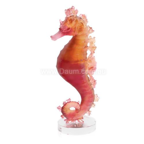 Picture of Coral Sea Amber Red Seahorse