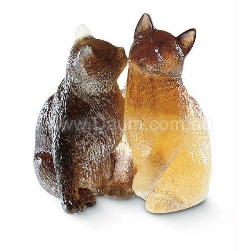 Picture of Kittens