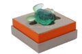 Picture of Mini Sea Turtle in Turquoise