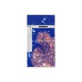 Picture of slimmy Lacquered lighter 20'000 Leagues under the seas royal blue